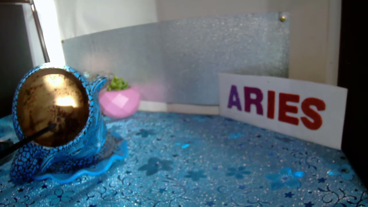 FS ARIES♈UN AMOR DEL PASADO T QUIERE BUSCAR- TE VUELVES A ILUSIONAR CON UN AMOR NUEVO