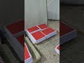 Standard vs Premium: Security features of ID Cards in bulk. Link in description!