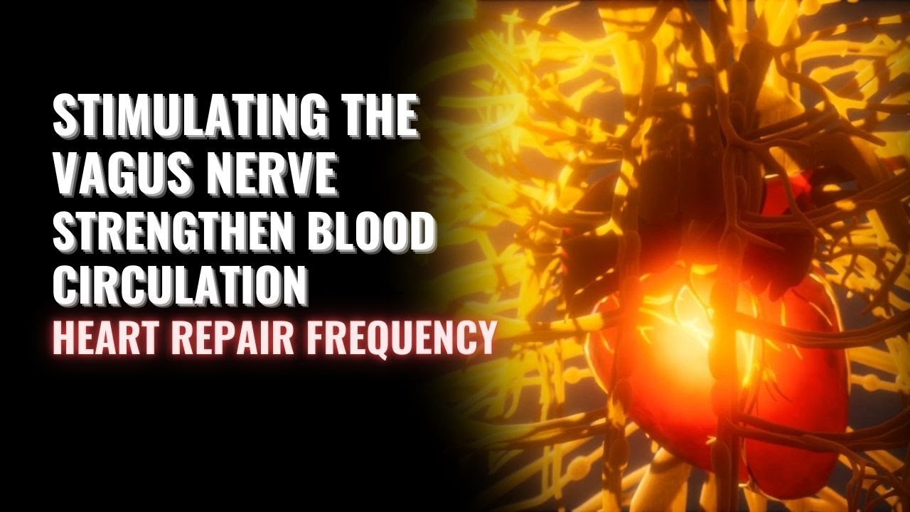 Stimulating The Vagus Nerve | Strengthen Blood Circulation | Heart