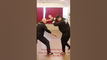 Unlocking Mastery: Explore the Intricacies of Praying Mantis Kung Fu Xiao Fan Che Application 14! 🦗💫