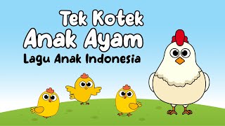 TEK KOTEK ANAK AYAM ♥ Lagu Anak dan Balita Indonesia | Keira Charma Fun