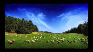 Bisset v Wilkinson - Learn Contract Law Cases