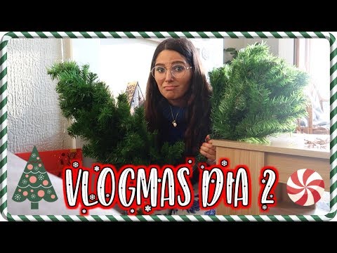 armando-el-arbolito🎄-vlogmas-2,-2019---caro-trippar