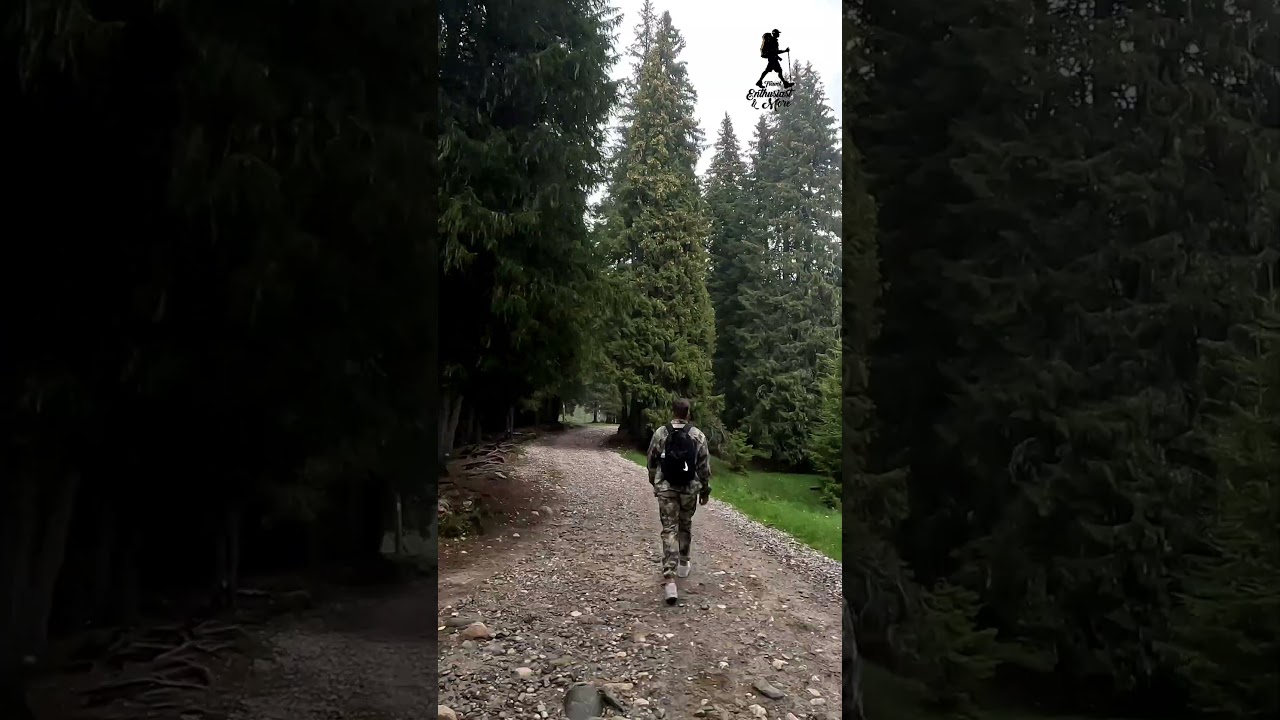 Reconnecting with Nature's Wonders on Foot | Padina Romania