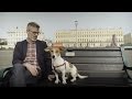 Rescue Dog
