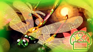 Dragonflies | Original Song by Imco Daniel @Raymusique