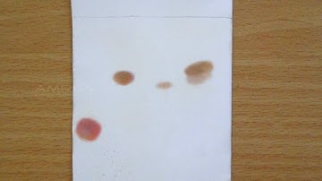 Separation of Amino acids by TLC - Amrita University