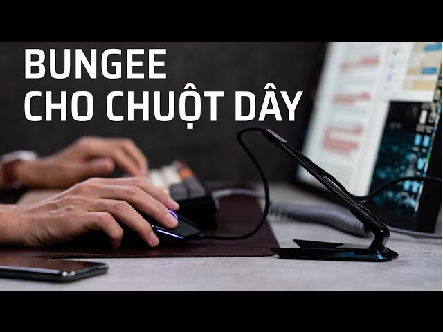 Bungee cho chuột có dây có lợi ích gì [Chia sẻ]