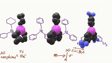 Electron rich Ligand support Palladium complex