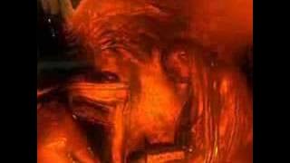 LifeForce: Assembly 2007 winning demo