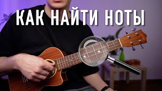 картинка: 1 урок. Поиск нот на укулеле. Теория музыки на укулеле