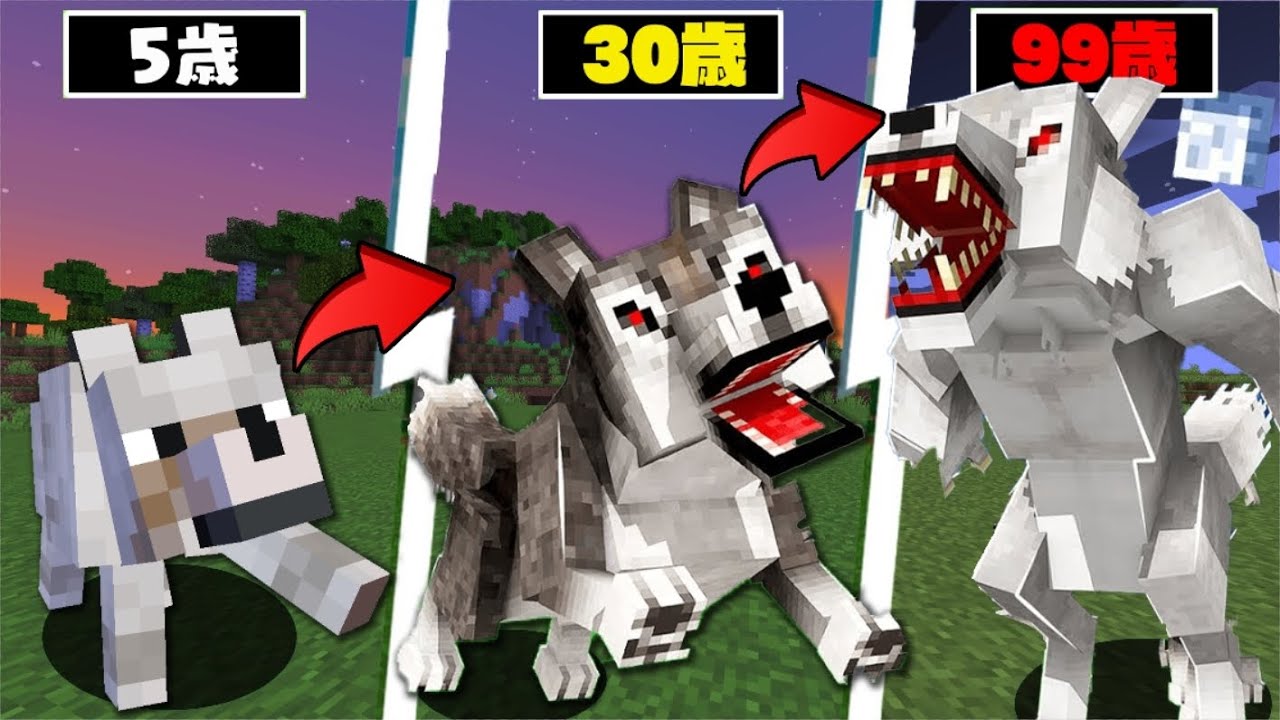 Minecraft & どうぶつの森 ソフトのみ　動作完璧 TBLS shopping