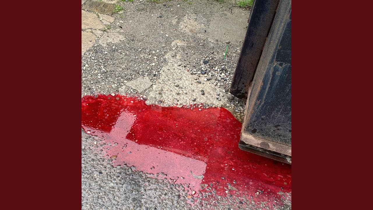 Guarda fractals su YouTube Guarda fractals su YouTube