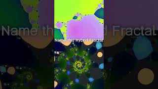 This feels like the Mandelbrot is trapped inside of the Newton Web 😔🪤 #fractal #newton