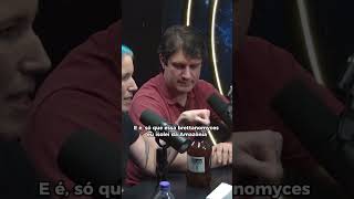 CERVEJA FEITA por CIENTISTAS BRASILEIROS