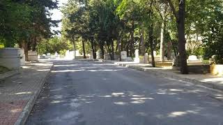 AYHAN IŞIK,IN MEZARI