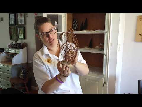 liberty falls christmas village part 1