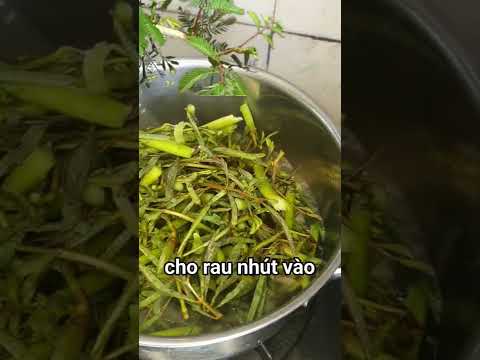 Video canh rau nhút nấu với tôm sao cho ngon? không bị dai?... - youtube