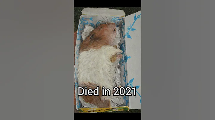 Meme heroes who have died #shorts #memes - DayDayNews