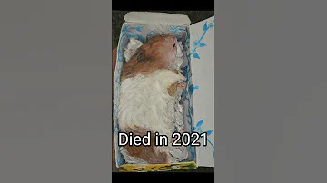 Meme Heroes Who Have Died Shorts Memes 