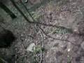 We're Enviromentally Friendly Part 1 of 2 We're Enviromentally Friendly Part 1 of 2