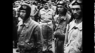 Download Lagu De Vrije Wereld (1945) MP3