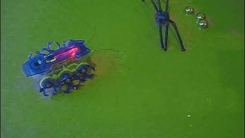 world hexbug series:1,chapter:1 the fire ant