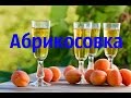 Абрикосовка. Ароматный самогон из абрикос.