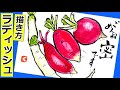ラディッシュの簡単な描き方２│野菜の描き方│絵手紙スケッチ│初心者│3月・4月・5月・6月・7月・8月・9月・10月・11月・春・夏・秋【二十日大根】