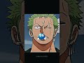 zoro and luffy's friendship♥️#edit #poppyplaytime#prototype