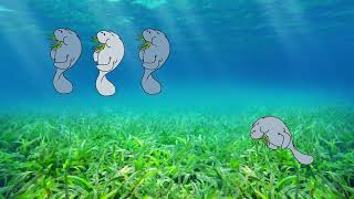 8 Manatees (Grass)