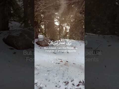 سورة طه بصوت القارئ عبدالرحمن مسعد 