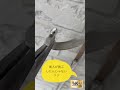 シーリング撤去/長尾東【本日の作業編】高松市香南町にて足場解体前検査-新規雨樋取付# #川田建装塗装防水塗替え専門店