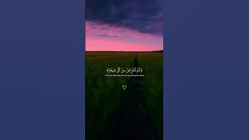 حالات واتس قرآن سورة مريم 🦋|| القارئ عبد الرحمن مسعد
