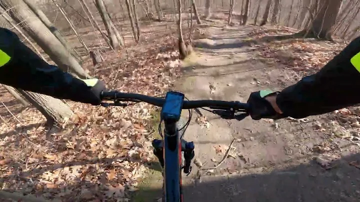 MTB Tryon Park and Bay West Nov 2022