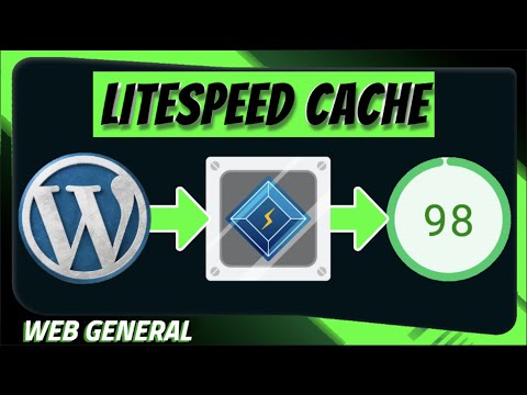 WordPress schneller machen:
