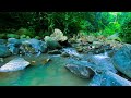 1 Hours of River Sound – Nature Sounds for Deep Sleep, Sleep like a baby