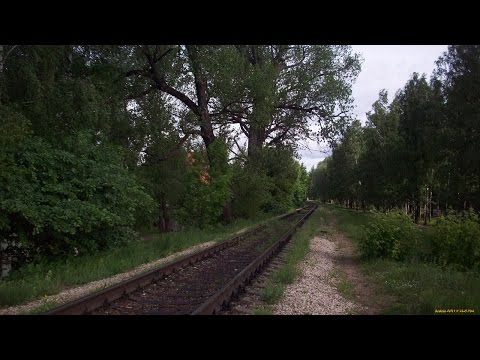 Мы – Путники