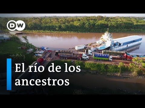 Recorriendo el Amazonas peruano | DW Documental