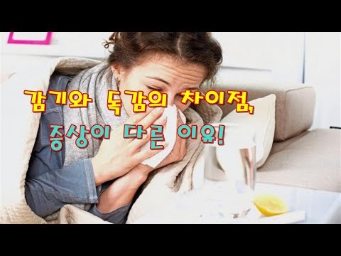 감기와 독감의 차이점, 증상이 다른 이유! [건강정보-감성플러스]