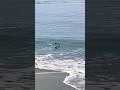 May 25, 2026 I Heard it Through the Grapevine at The Beach NorCal Santa Cruz CA #socal #grapevine