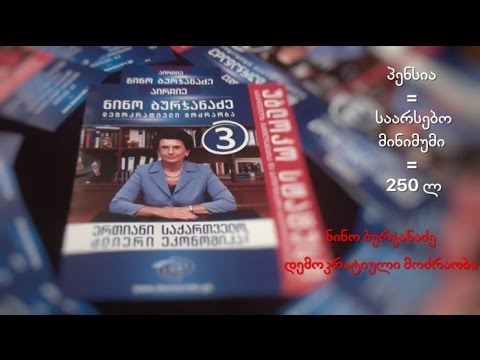 ნინო ბურჯანაძის პარტიის დაპირებები - პენსია