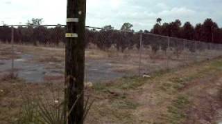 20100202_46.AVI