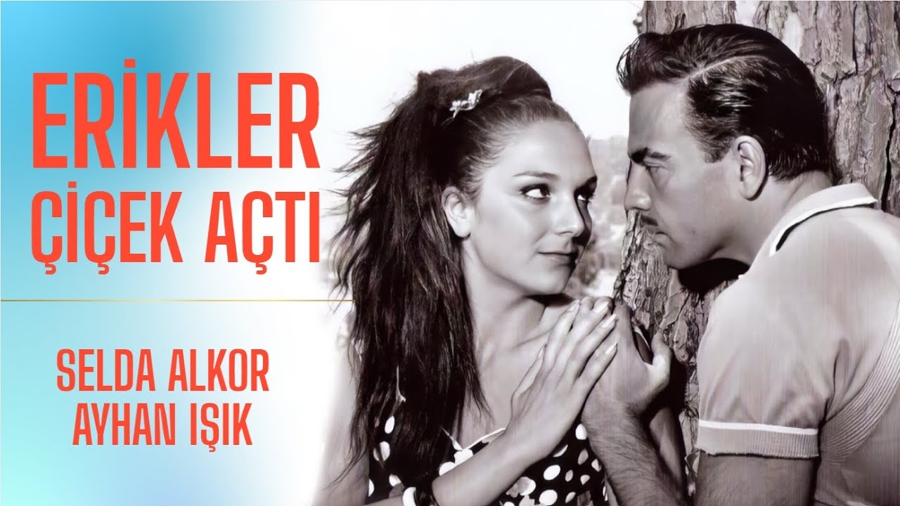 Erikler Çiçek Açtı Türk Filmi | Ayhan Işık | Selda Alkor