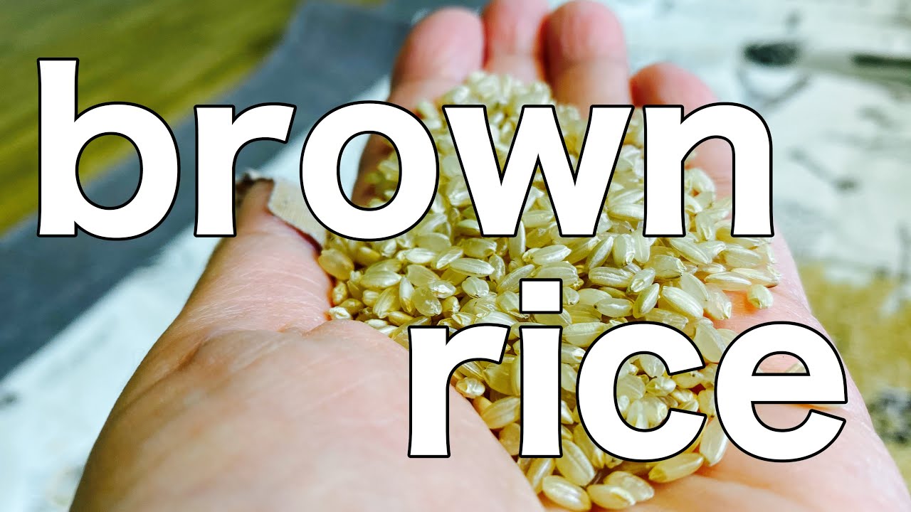 vacuum cleaner & brown rice YouTube