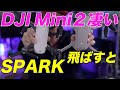 【DJI】SPARKを飛ばしたらDJI Mini2の凄さがわかった 前の機体飛ばすと全然違う！