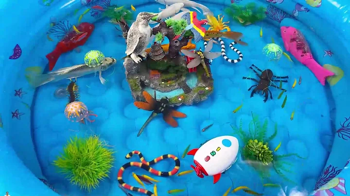 Let's explore what fish and sea creatures there are:sharks,jellyfish#goldfish#animals#viral videos