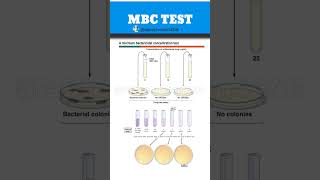 MBC full form|MBC test|MMinimum Bactericidal Concentration|Microbiology test|antibiotic test#new#lab