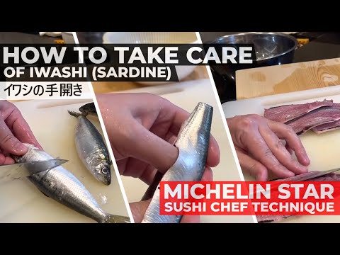 Video: Why Is Herring Iwashi Useful?