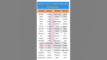 Animals and Birds Sounds #shorts#shortsfeed#english#animalsandbirdssounds